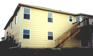 Back view, 1998